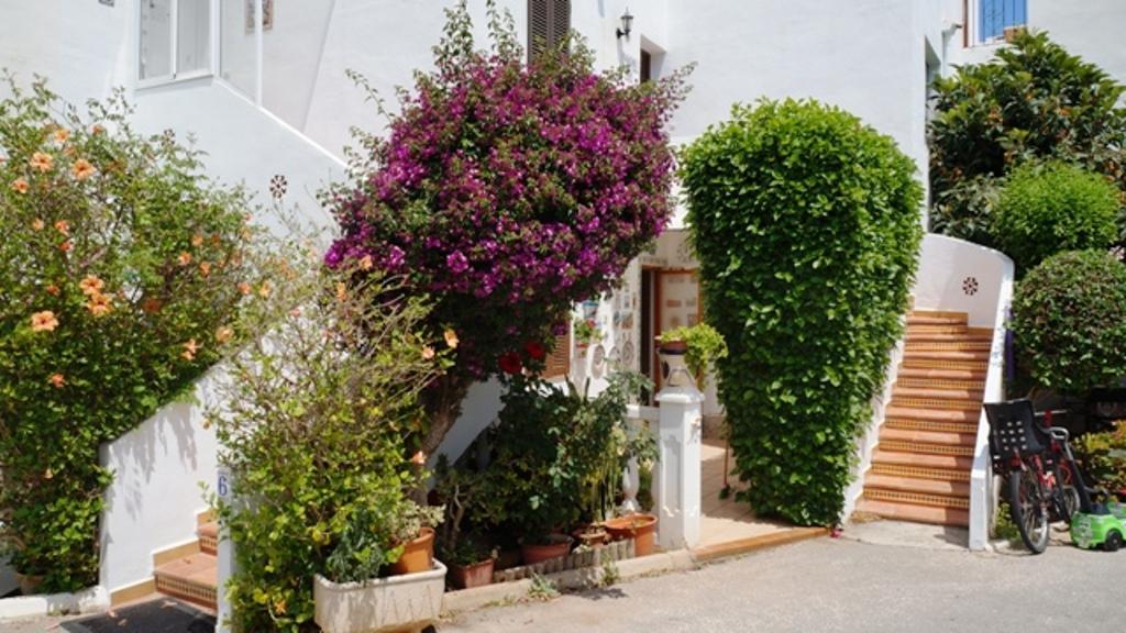 Apartamento Patio Andaluz Dénia Exterior foto
