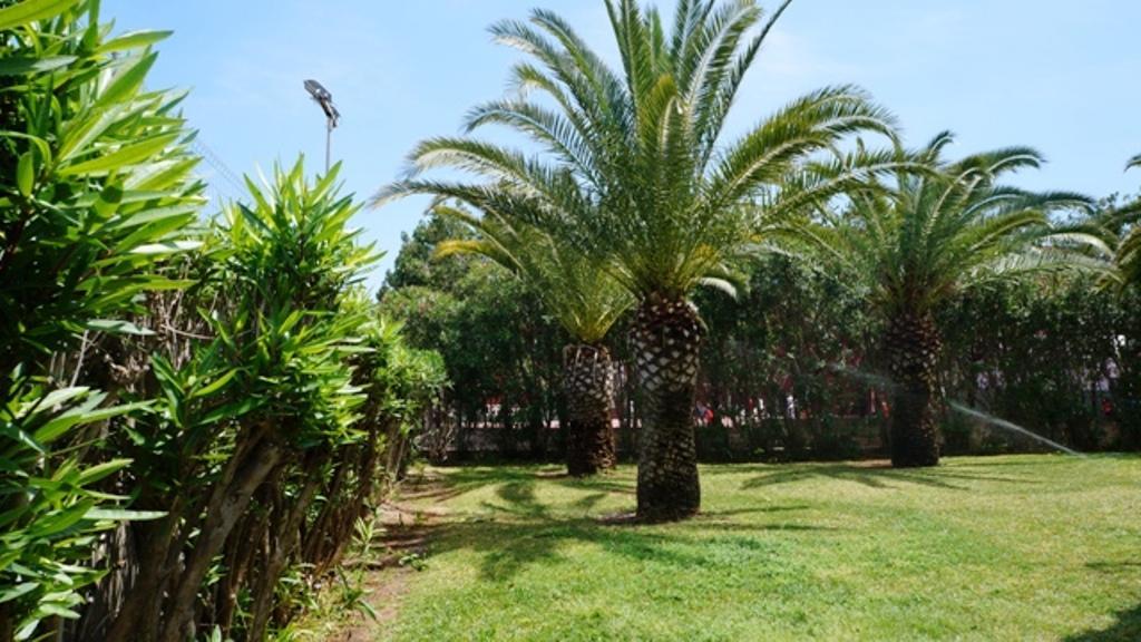 Apartamento Patio Andaluz Dénia Exterior foto