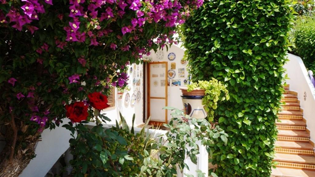Apartamento Patio Andaluz Dénia Exterior foto